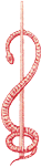 logo praxis